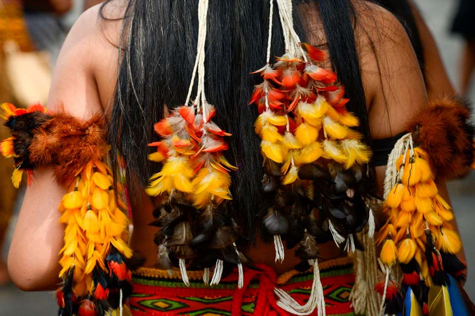 Brasil deve ter orgulho de seus povos indígenas, diz secretária