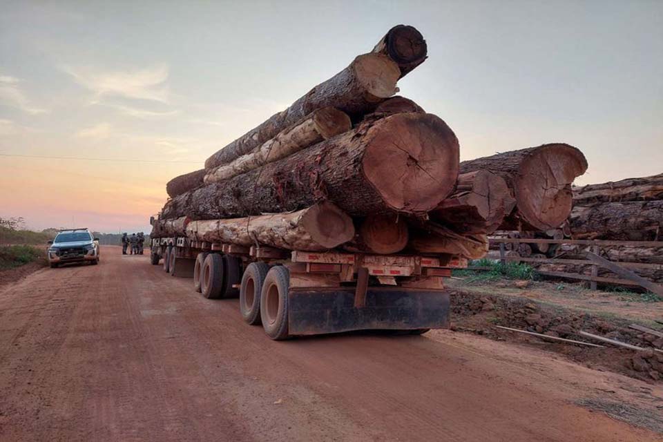 Ibama embarga e multa 41 empresas envolvidas em exploração ilegal de madeira em Mato Grosso e Rondônia