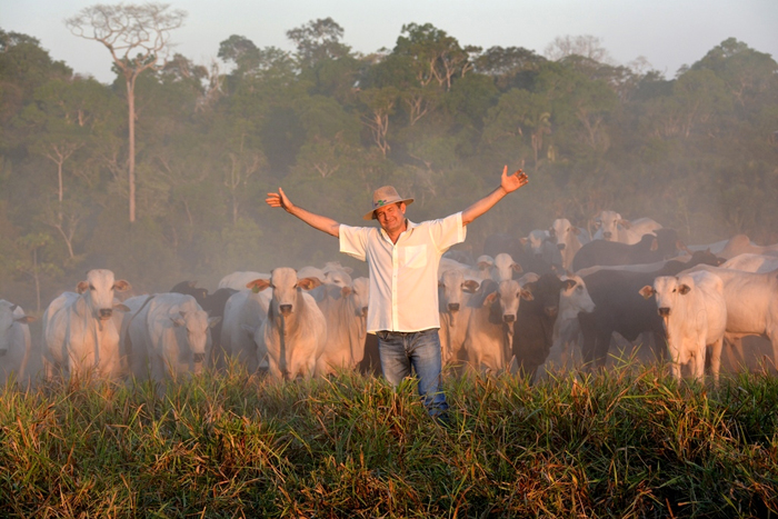 Produção integrada é receita de sucesso de fazenda de pecuária sustentável em Rondônia